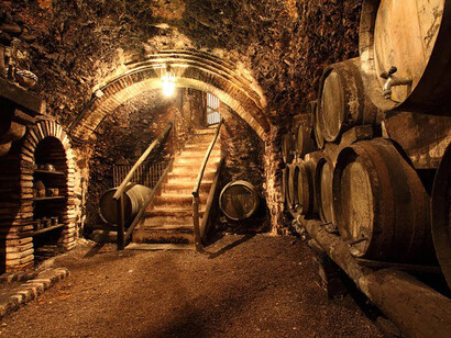 La cuna del vino