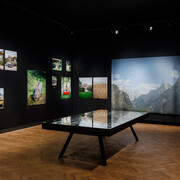 Sophie Mercedes Köchert, Salzkammergut selected II, exhibition view. Courtesy of Francisco Carolinum Linz