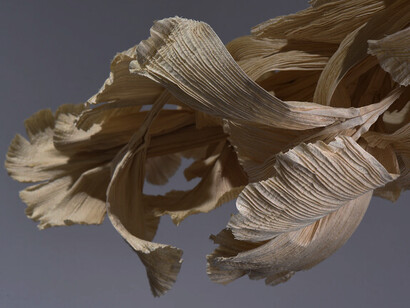 Kinga Földi: 2023, Ciclo del Ginkgo