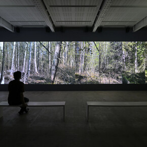 Eija-Liisa Ahtila, On breathing, vue d'exposition. Avec l’aimable autorisation de la galerie Marian Goodman