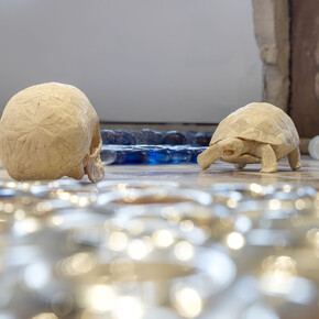 Jan Fabre. Courtesy of Abbazia di San Gregorio