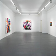 Mihkel Maripuu, Exobiota, exhibition view. Courtesy of Kogo Gallery