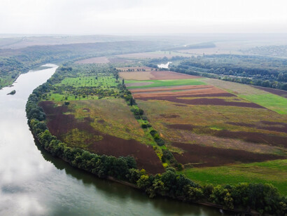 Vegetação e plantações. Legislação, uniformidade, intelectualidade empresarial, financeira, tributária e logística, precifica e estimula o desenvolvimento profissional da exportação