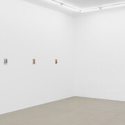 Lin Olschowka, Brother wolf, exhibition view. Courtesy of Meyer Riegger