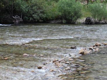 Ecosystems. Courtesy of California Science Center