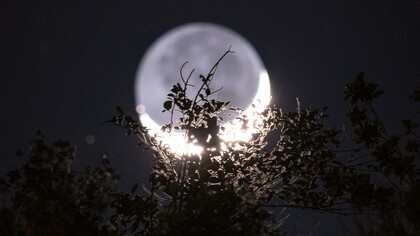  A consciência como tarefa e o papel do leitor