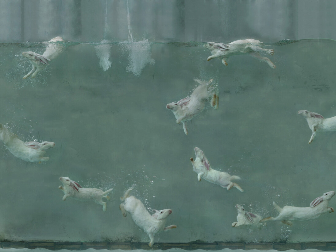 Zhou Hongbing, Aquarium 04 (detail), Courtesy Magda Danysz Gallery