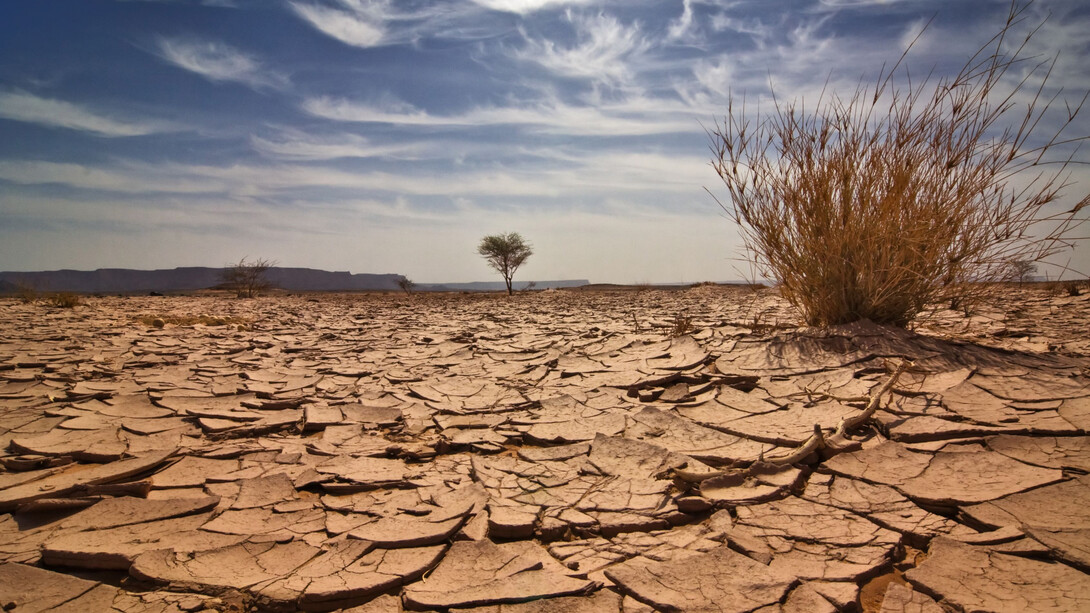 Le conseguenze dei cambiamenti climatici