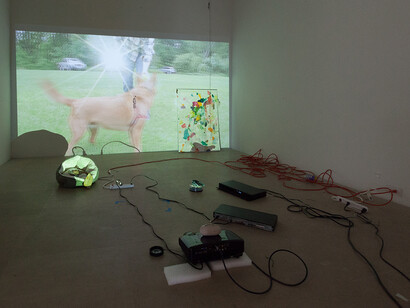 Trisha Baga, Dog Day, 2013. Video still. Courtesy the artist and Greene Naftali, New York.