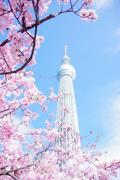 Sumida City, Tōkyō-to, Japan