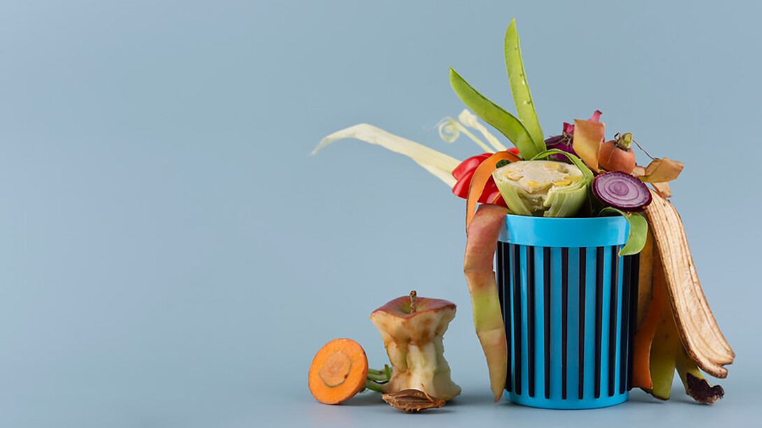 Visual of compost arrangement showcasing rotten food illustrates the concepts of food loss and food waste