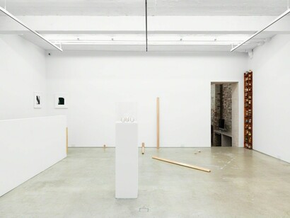 The Garden of Forking Paths, Exhibition view. Courtesy of Magenta Plains