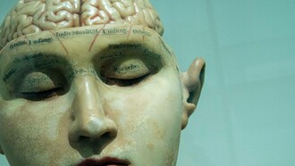 Riproduzione di viso e cervello umani: "Il cervello umano è un organo complesso, misterioso e sorprendente. Si è evoluto insieme al corpo in un processo interconnesso che ha portato la specie umana da Homo Habilis a Homo Sapiens"