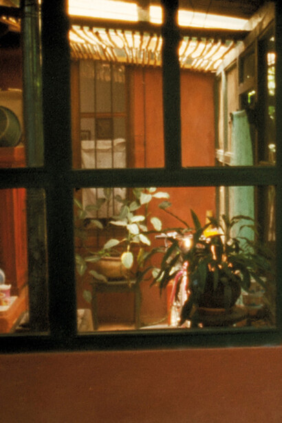 Rosalind Nashashibi: Vivian's Garden. Courtesy of Art Institute of Chicago