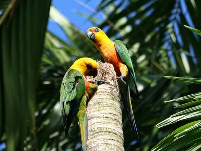 Há alguns anos, o Brasil, a cada quatro anos, entrava em um frenesi em clima de Copa do Mundo. Era um tal de convocados para cá, probabilidades para lá, adversários acolá. E tome o noticiário em clima de Copa. Inventavam pautas sobre qualquer coisa, apenas para falar do evento


