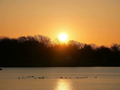 A sunrise fully glowing in the yellow tones to represent hope as it emerges