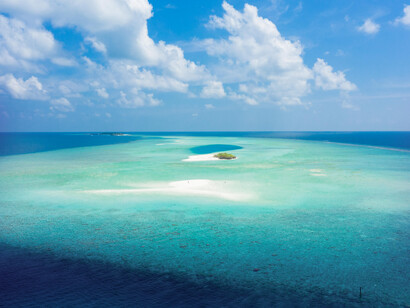 Indian Ocean where animals in extinction are living on