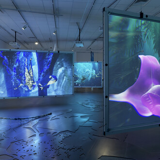 Julien Creuzet, exhibiton view. Courtesy of The Bell Gallery