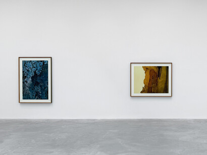 Thomas Demand, exhibition view. Courtesy of Matthew Marks Gallery
