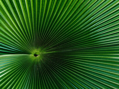 Tanti più lati ha la mente, tanti più aspetti analogici l’individuo è in grado di cogliere