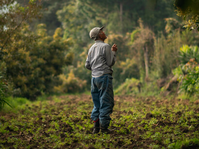 The often forgotten drudgery in the fields and sweatshops, provide comforts for us