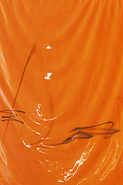 Acrylic, lacquer, spray paint, and PE, film on canvas, 185 x 135 cm. Detail