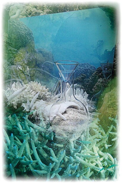 Janet Laurence, Coral Collapse (Homeopathy #4) 2015, Courtesy of Janet Laurence and The Fine Art Society