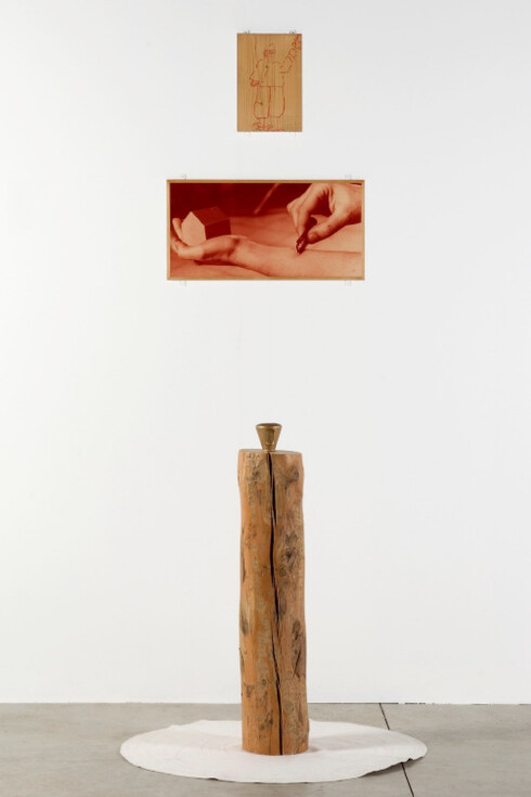 Gina Pane. Courtesy Anne Marchand and photo credits Max Pescio.
