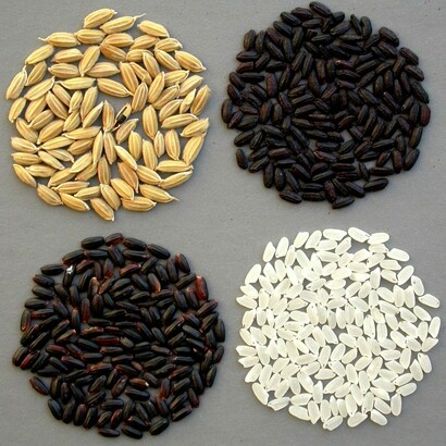 Rispettare una rigorosa dieta senza glutine non sempre è facile per via della contaminazione degli alimenti