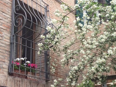 Finestra e fiori, foto Simonetta Sandri