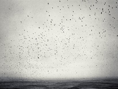 Joakim Eskildsen, Nordic Signs and The Roma Journeys. Courtesy of Purdy Hicks 