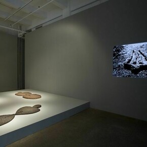 Ana Mendieta, Installation view