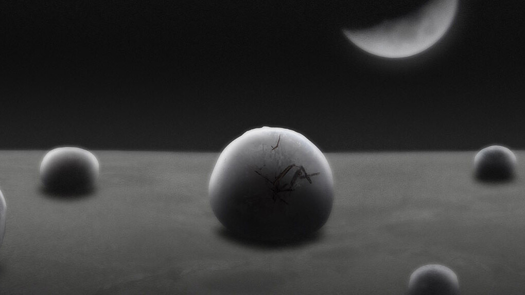 Eggs, stampa digitale su carta cotone BW Hahnemule, cm 28 x 94, 2014 (dettaglio)