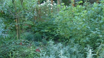 Brolo antico trasformato in un giardino di città