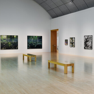 Pao Houa Her, The imaginative landscape, exhibition view. Courtesy of San José Museum of Art