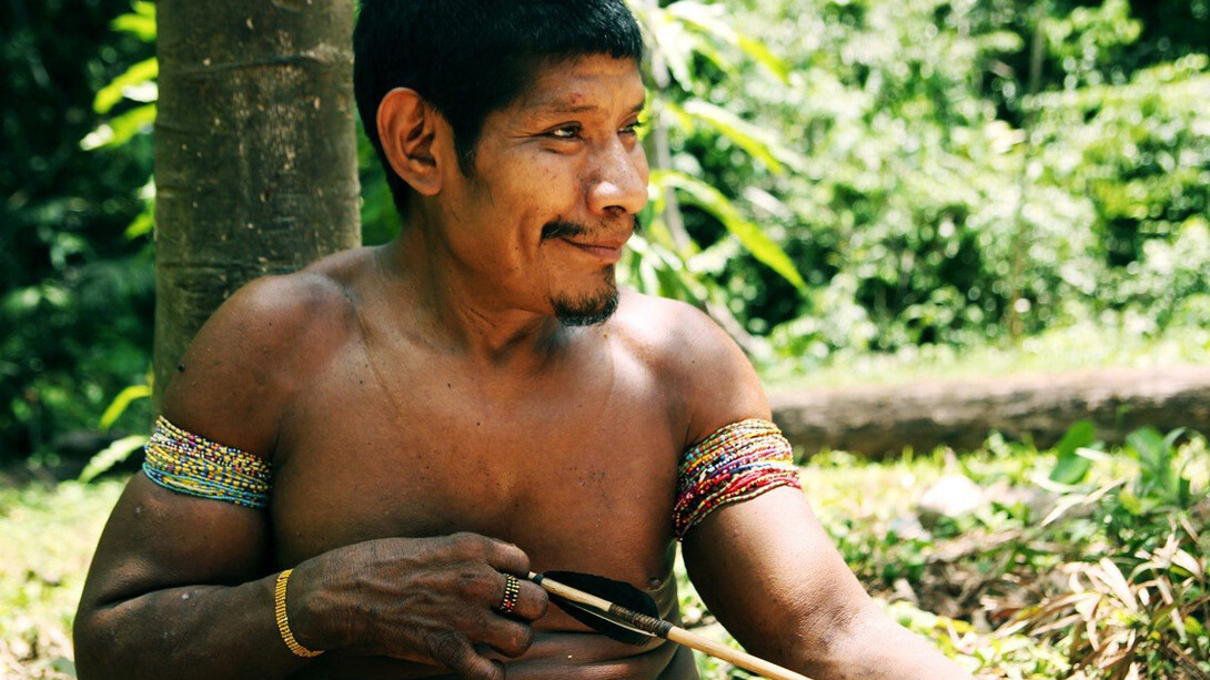 Los hombres awás son cazadores expertos, y pasan mucho tiempo fabricando sus arcos y flechas. Aprenden a cazar en su infancia. © Survival