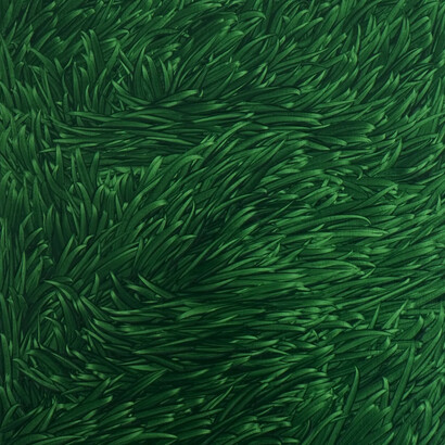 Maja Klaassens, Grass (detail), 2024. Courtesy of  Dürst Britt & Mayhew