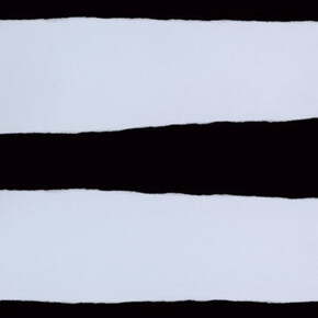 Edgar Martins. Courtesy of Purdy Hicks Gallery