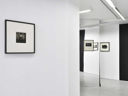 Vertigo. Courtesy of Galerie Christophe Gaillard
