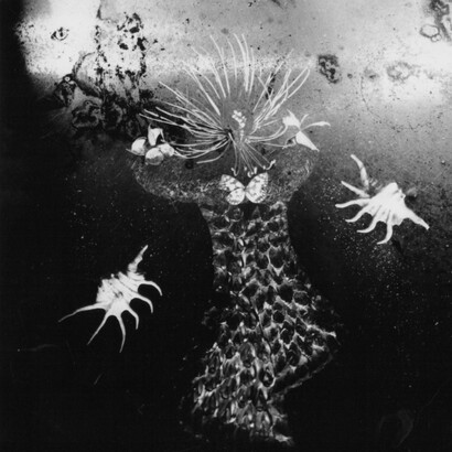 Wunderkamera. Courtesy of The Hospital Club