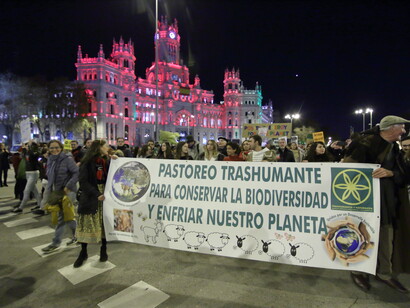 Los jóvenes constituyen uno de los grupos de población con mayor concienciación sobre los efectos que derivan de la crisis climáticaMarcha por el clima Madrid 06 diciembre 2019, España