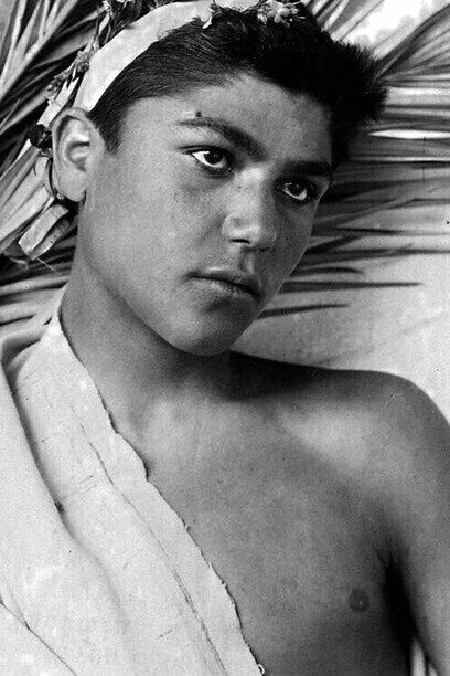 "Busto de joven con hoja de palma", fotografía, Wilhem von Gloeden, 1895