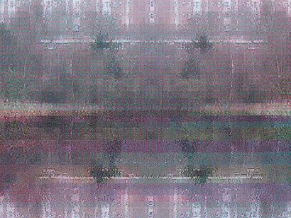 Dan Hays (b.1966) Curlew and Bittern, 2016. Oil on canvas, 90 x 160 cm. Courtesy Dan Hays © Dan Hays