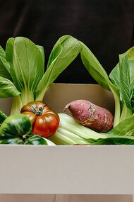 A person proudly holding a crate of vibrant vegetables symbolizes the intersection of health, veganism, and sustainability, encapsulating a commitment to nourishing choices for both individual well-being and the planet