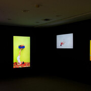 Kawita Vatanajyankur: Foul Play. Courtesy of Albright-Knox Gallery