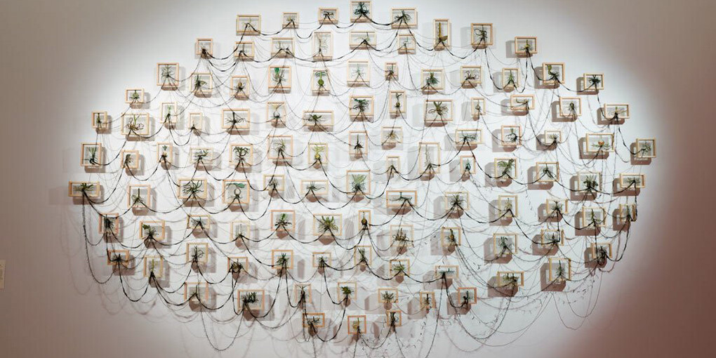 Passion and procession. Courtesy of Art Gallery of NSW