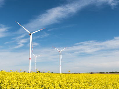 Wind turbines in a field, representing Germany's commitment to the Energiewende