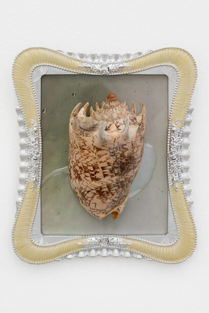 Hélène Fauquet, Sea rex, 2025. Mit freundlicher genehmigung von Meyer-Kainer Gallery