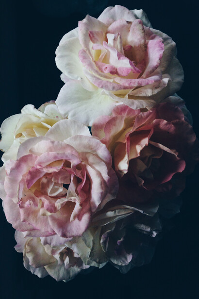 Clinton Hayden, Untitled (2015), Archival inkjet print on hahnemule, 60 x 80 cm