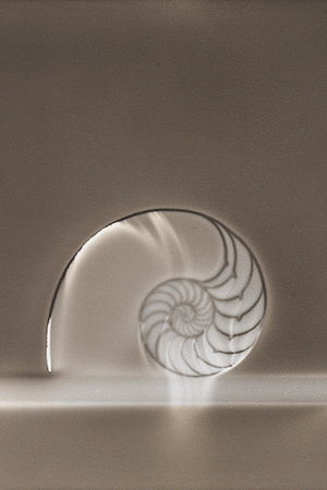 Claudio Parmiggiani. Courtesy of Frist Art Museum